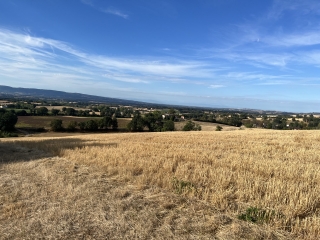 PUYLAURENS - BOUCLE DE LABARTHE-tarn