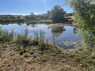 PUYLAURENS - BOUCLE DE MONTAUT ET DE LA VERDURETTE-tarn