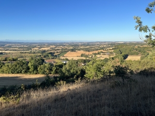 PUYLAURENS - BOUCLE DE MONTAUT ET DE LA VERDURETTE-tarn