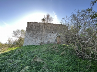 NAVES - LO CAMIN DE LAS PEYRAS-tarn