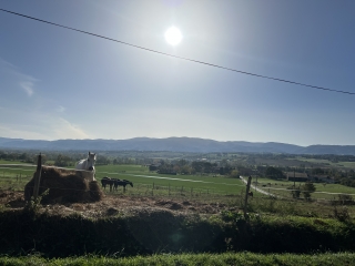 NAVES - LO CAMIN DE LAS PEYRAS-tarn