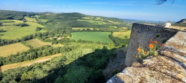 PUYCELSI - NOTRE DAME DES BOIS-tarn
