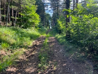 SAINT-AMANCET - CIRCUIT DES PETITS AVARIS-tarn