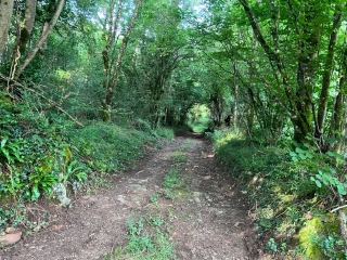 SAINT-AMANCET - CIRCUIT DES PETITS AVARIS-tarn