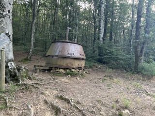 LES CAMMAZES - FORET DE L AIGUILLE-tarn