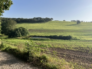LES CAMMAZES - FORET DE L AIGUILLE-tarn