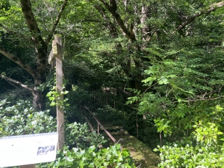 DURFORT - LO CAMY DES MARTINETS-tarn