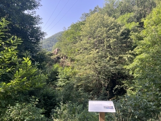 DURFORT - LO CAMY DES MARTINETS-tarn