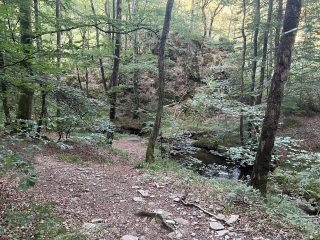 PONT DE L ARN - LO CAMIN DU LAC DES SAINT-PEYRES AUX GORGES DE L ARN-tarn