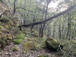 ST AMANS VALTORET - CAMIN DES SAINTS PEYRES AUX GORGES DU BANQUET-tarn