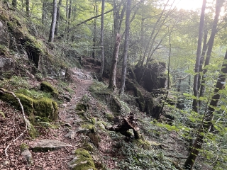 ST AMANS VALTORET - CAMIN DES SAINTS PEYRES AUX GORGES DU BANQUET-tarn