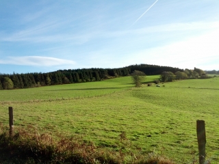 DOURGNE - MONTAGNE NOIRE-tarn
