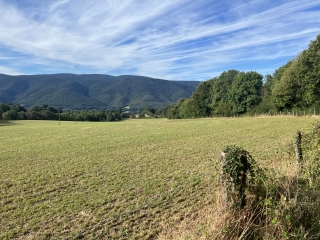 SAINT AMANS VALTORET - DE LA VALLEE A L OREE DU BOIS-tarn