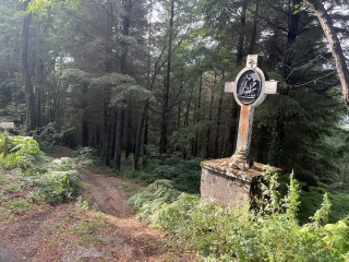 SAINT AMANS VALTORET - DE LA VALLEE A L OREE DU BOIS-tarn