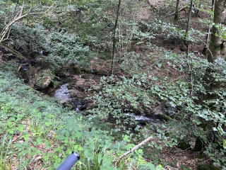 LABRUGUIERE - GRANDE BOUCLE DE MONTAUD-tarn