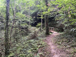 AUSSILLON - SENTIER DE LA ROQUE-tarn