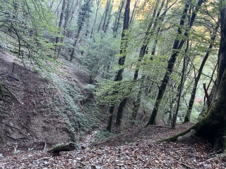 LABASTIDE-ROUAIROUX - LES MAITRES VERRIERS-tarn