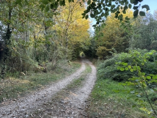 PONT DE L ARN - LES HAUTS DE SAINT-BAUDILLE-tarn