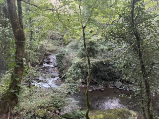 NOAILHAC - BOUCLE DES FORETS DU MALOUS-tarn