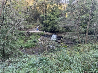 NOAILHAC - BOUCLE DES FORETS DU MALOUS-tarn