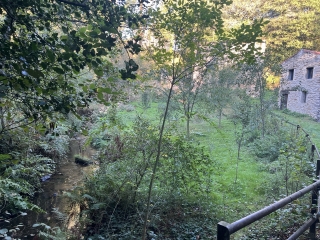 PONT DE L ARN - LES HAUTS DE ROUSSOULP-tarn