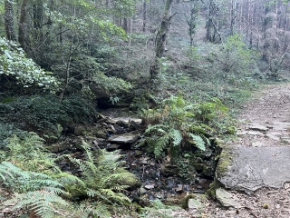 PONT DE L ARN - LES HAUTS DE ROUSSOULP-tarn