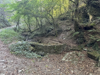 BOISSEZON - BOUCLE DU CLAUZET-tarn