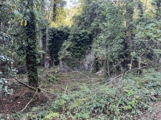 BOISSEZON - BOUCLE DU CLAUZET-tarn