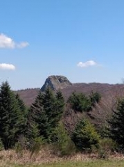 ALBINE - LE ROC DE PEYREMAUX AVEC VARIANTE-tarn