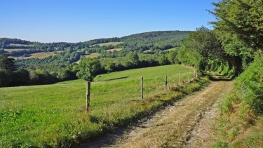 MAZAMET - LES ESCAUNELLES AVEC BROCHURE-tarn