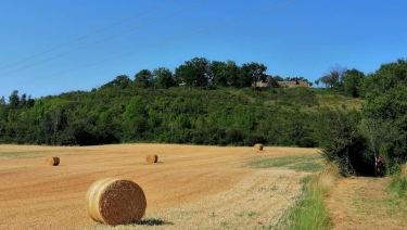 MONTFA - SENTIER DES PUECHS-tarn