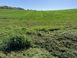 ROQUECOURBE - BOUCLE DES TRAVERS-tarn