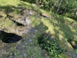 ROQUECOURBE - ACCES AU SITE DE SAINTE JULIANE-tarn