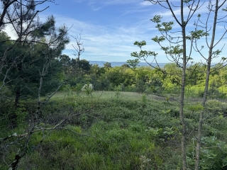 ROQUECOURBE - AUTOUR DU FRAU DE LA GLENE-tarn