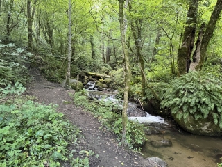 BURLATS - SENTIER DE LA CASCADE DU PARADIS