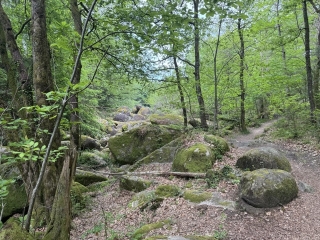 BURLATS - SENTIER DU CHAOS DE LA ROUQUETTE-tarn