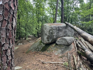 LACROUZETTE - SENTIER DE CREMAUSSEL-tarn