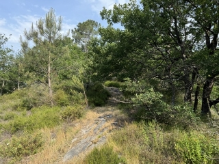VABRE - SENTIER DES LABANS-tarn