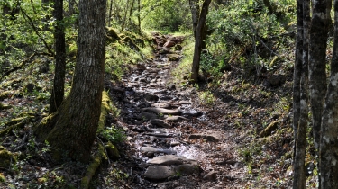 LES ABRIOLS - COTE GRESIGNE-tarn
