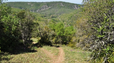 LES ABRIOLS - CAMPEMENT PREHISTORIQUE DE BRUNIQUEL-tarn