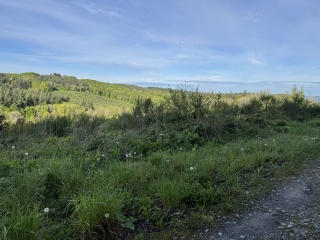 LE BEZ - SENTIER DES SOURCES DE LA DURENCUSE-tarn