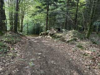 LE BEZ - SENTIER DES SOURCES DE LA DURENCUSE-tarn