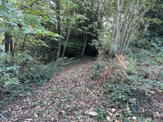 LE BEZ - FONTBELLE AVEC VARIANTE-tarn