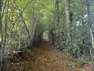 BERLATS - LE PUECH DELS CARBONIES AVEC BROCHURE-tarn