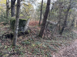 GUIOR - LE CHEMIN DES ECOLIERS-tarn