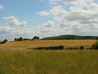 CARLUS - LES COTEAUX DE CARLUS PAR LE VIEUX CIMETIèRE-tarn