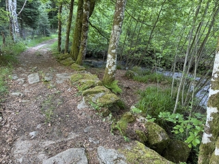 ANGLÈS - LE PLATEAU D ANGLÈS-tarn