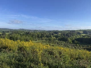 ANGLÈS - LE PLATEAU D ANGLÈS-tarn