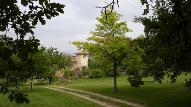 SAINT-PAUL-DE-MAMIAC - LES ABRIOLS-tarn