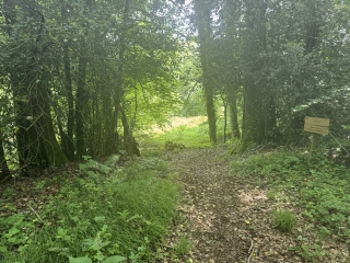 LAMONTÉLARIÉ - SICARDENS-tarn